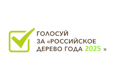 Выбираем Российское дерево года - 2025!