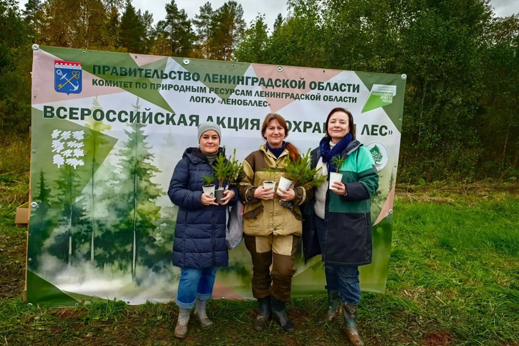 Всероссийская акция «Сохраним лес»