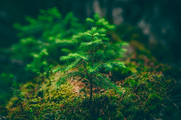 Национальная экологическая премия 2025